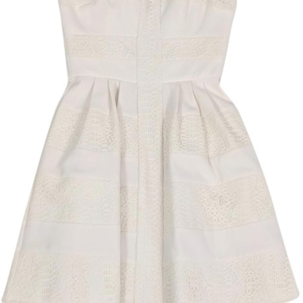 BCBG Cream Lace Panel Dress
